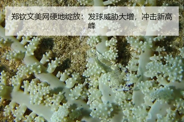 郑钦文美网硬地绽放：发球威胁大增，冲击新高峰